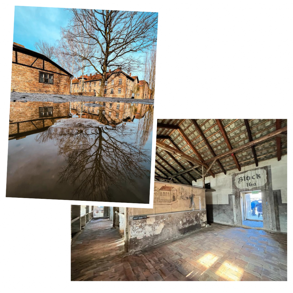 Auschwitz Block